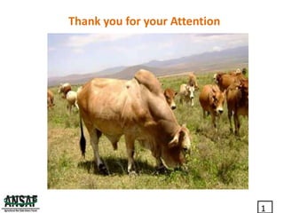 Inclusive investment opportunities in Tanzania’s dairy value chains: Exploiting the Evidence: What next for Policy Advocacy?     Presented by Audax Rukonge (ANSAF) at the Maziwa Zaidi Policy Forum, Dar es Salaam, 23-24 May 2017