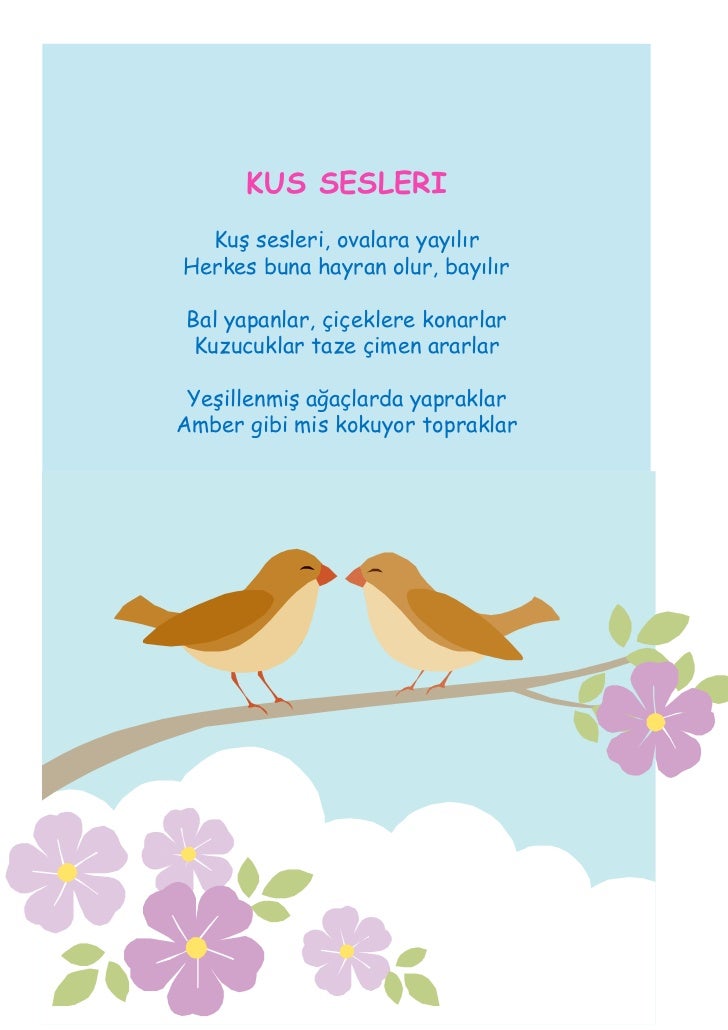 Muzik Albumu 3 Music Album