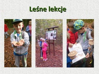 Leśne lekcjeLeśne lekcje
 