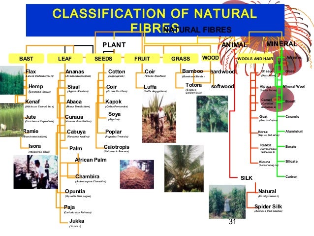 Bio resin based natural fibre composites and their