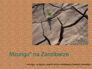 Mzungu* na Zanzibarze * mzungu –w języku suahili termin określający białego człowieka 