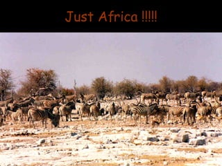 Just Africa !!!!! 