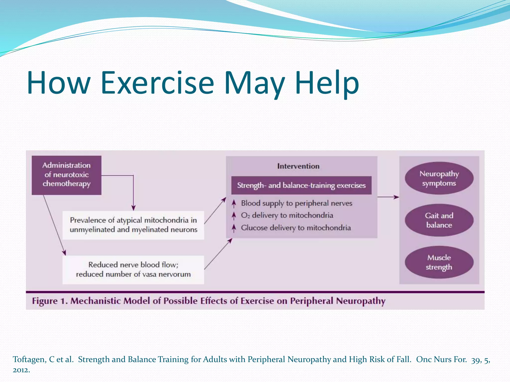 How Exercise May Help
Toftagen, C et al. Strength and Balance Training for Adults with Peripheral Neuropathy and High Risk of Fall. Onc Nurs For. 39, 5,
2012.
 