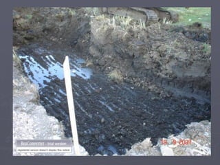 احلااال التربه