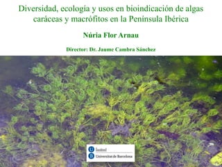 Diversidad, ecología y usos en bioindicación de algas
caráceas y macrófitos en la Península Ibérica
Núria Flor Arnau
Director: Dr. Jaume Cambra Sánchez
 