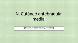 N. Cutáneo antebraquial
medial
[Braquial cutáneo interno/ Accesorio]
 