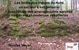 •
Les forêts des Vosges du Nord,
un secteur à fort potentiel
pour l'étude des aménagements agraires
médiévaux et modernes désaffectés
Nicolas Meyer
 
