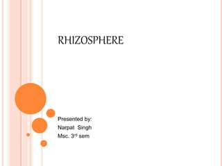 RHIZOSPHERE
Presented by:
Narpat Singh
Msc. 3rd sem
 