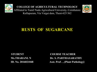 STUDENT COURSE TEACHER
Ms.THARANI. N Dr. S. PARTHASARATHY
ID. No. 2016021048 Asst. Prof . , (Plant Pathology)
COLLEGE OF AGRICULTURAL TECHNOLOGY
Affiliated to Tamil Nadu Agricultural University, Coimbatore
Kullapuram, Via Vaigai dam, Theni-625 562
RUSTS OF SUGARCANE
 