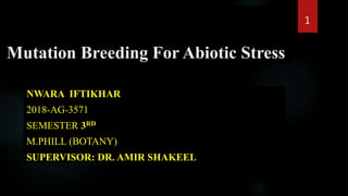 Mutation Breeding For Abiotic Stress
NWARA IFTIKHAR
2018-AG-3571
SEMESTER 3RD
M.PHILL (BOTANY)
SUPERVISOR: DR. AMIR SHAKEEL
1
 