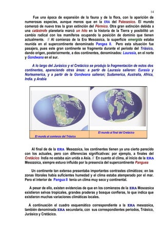 Fue una época de expansión de la fauna y de la flora, con la aparición de
numerosas especies, aunque menos que en la ERA del Paleozoico. El mundo
comenzó de nuevo tras la gran extinción del Pérmico. Otra gran extinción debida a
una catástrofe planetaria marcó un hito en la historia de la Tierra y posibilitó un
cambio radical con los mamíferos ocupando la posición de dominio que tienen
actualmente. // Al comienzo de la Era Mesozoica, la superficie emergida estaba
reunida en el supercontinente denominado Pangea II. Pero esta situación fue
pasajera, pues este gran continente se fragmenta durante el periodo del Triásico,
dando origen, posteriormente, a dos continentes, denominados: Laurasia, en el norte
y Gondwana en el sur.
A lo largo del Jurásico y el Cretácico se produjo la fragmentación de estos dos
continentes, apareciendo otras áreas: a partir de Laurasia salieron: Eurasia y
Norteamerica, y a partir de la Gondwana salieron; Sudamerica, Australia, Africa,
India. y Arabia
Al final de de la ERA Mesozoica, los continentes tienen ya una cierto parecido
con los actuales, pero con diferencias significativas: por ejemplo, a finales del
Cretácico India no estaba aún unida a Asia. // En cuanto al clima, al inicio de la ERA
Mesozoica, siempre estuvo influido por la presencia del supercontinente Panguea
Un continente tan extenso presentaba importantes contrastes climáticos; en las
zonas litorales había suficientes humedad y el clima estaba atemperado por el mar.
Pero el interior de Pangua II tenía un clima muy seco y continental.
A pesar de ello, existen evidencias de que en los comienzos de la ERA Mosozoica
existieron selvas tropicales, grandes praderas y bosque confieras, lo que indica que
existieron muchas variaciones climáticas locales.
A continuación el cuadro esquemático correspondiente a la ERA mesozoica,
también denominada ERA secundaria, con sus correspondientes periodos, Triásico,
Jurásico y Cretácico.
El mundo al comienzo del Triásico
El mundo al final del Cretácico
14
 