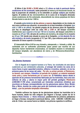 El Würm II (de 55.000 a 35.000 años) a. C.) ofrece en toda la península ibérica
condiciones de frío acentuado; están presentes el mamut y el rinoceronte lanudo, es
baja la proporción de arbolado y se ha extendido un paisaje estépico por muchos
lugares. El análisis de los micromamíferos de la cueva de la Carígüela (Granada)
revela condiciones de frío extremado, descendiendo las nieves perpetuas de Sierra
Nevada hasta la cota de los 1.500 m.
El estudio paleo-botánico de los pólenes y esporas depositados en los niveles de
esa cueva confirma esa situación; se presentan en el área inmediata a Carigüela (que
está a 1.000 m de altitud), las plantas propias de los diversos pisos de vegetación
que hoy se despliegan entre las cotas 800 y 2.500 m. del bosque esclerófilo
mediterráneo (que suponen el 8,4 por 100 de la muestra), del bosque caducifoho la
muestra es (47 por 100), del piso de coniferas de montaña y de estepa fría la muestra
es (33 por 100) donde esta situada la cueva de la Carigüela, y el de desierto frío de
alta montaña y de tundra (ocupando el 11,7 por 100: y que entonces pudo tener una
extensión 35 veces superior a la actual).
El interestadio Würm II-III fue muy húmedo y atemperado, o húmedo y cálido. No
controlado aún en suficientes yacimientos (pues parece que muchos de sus
depósitos fueron fuertemente erosionados), en Cantabria muestra la reinstalación
del bosque templado, con abundancia de ciervo y de Rhinoceros-Dicerorhinus
hemitoechus.
---------------------------------ooo0ooo-------------------------------..
La fauna humana
Con la llegada de la especie humana a la Tierra, las vicisitudes de esta época
cuaternaria ya son ciertamente culturales, al emerger del cerebro los seres de la
nueva fauna, la gran capacidad evolutiva, reflexiva e inventiva, saliendo a la luz los
primeros pasos de las ramas del saber. Por ello, su primer período, el Pleistoceno,
se llamará, casi siempre, Paleolítico (el período de la piedra); un material empleado
como arma y como herramienta por un nuevo ser. El Paleolitico abarca desde la
aparición de las primeras herramientas fabricadas por los homínidos, hace unos dos
millones de años, y abarca la mayor parte del periodo geológico Pleistoceno
(2.000.000–11.700 años), caracterizado por tremendas variaciones climáticas que
ocurrieron en Europa, correspondientes con las glaciaciones alpinas Günz, Mindel,
Riss y Würm, durante las cuales gran parte del continente estuvo cubierto por los
hielos. y por los periodos templados intermedios.
También sufrieron los rigores de las glaciaciones alpinas los homínidos de la
fauna humana, desde los más antiguos que llegaron a Europa, quizás los de la
especie Homo Erectus u Homo Antecesor, posiblemente los primeros pobladores
en llegar a Europa, incluyendo la península Ibérica, entre 1.600.000 -1.200.000 años
ante de Cristo. Las cuevas fueron su hábitat.; sus pinturas rupestres lo certifican.
35
 