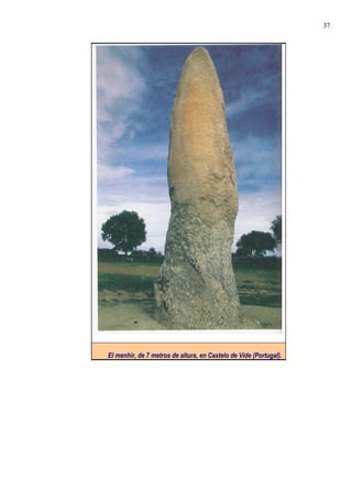 El menhir, de 7 metros de altura, en Castelo de Vide (Portugal).
37
 