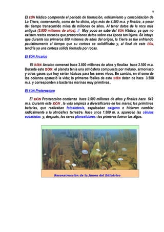 El EÓN Hádico comprende el periodo de formación, enfriamiento y consolidación de
La Tierra, comenzando, como de ha dicho, algo más de 4.500 m.a. y finaliza, a pesar
del tiempo transcurrido miles de millones de años. Al tener datos de la roca más
antigua (3.800 millones de años). // Muy poco se sabe del EÓN Hádico, ya que no
existen restos rocosos que proporcionen datos sobre esa época tan lejana. Se intuye
que durante los primeros 800 millones de años del origen, la Tierra se fue enfriando
paulatinamente al tiempo que su corteza se solidificaba y, al final de este EÓN,
tendría ya una corteza sólida formada por rocas.
El EÓN Arcaico
El EÓN Arcaico comenzó hace 3.800 millones de años y finaliza hace 2.500 m.a.
Durante este EÓN, el planeta tenía una atmósfera compuesta por metano, armoniaco
y otros gases que hoy serían tóxicos para los seres vivos. En cambio, en el seno de
los océanos apareció la vida; lo primeros fósiles de este EÓN datan de hace 3.500
m.a. y corresponden a bacterias marinas muy primitivas.
El EÓN Proterozoico
El EÓN Proterozoico comienza hace 2.500 millones de años y finaliza hace 542
m.a. Durante este EÓN , la vida empieza a diversificarse en los mares; las primitivas
baterias, que realizaban fotosíntesis, expulsaban oxigeno e hicieron cambiar
radicalmente a la atmósfera terrestre. Hace unos 1.800 m. a. aparecen las células
eucariotas y, después, los seres pluncelulares: los primeros fueron las algas.
Reconstrucción de la fauna del Edicárico
9
 