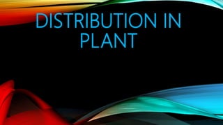 DISTRIBUTION IN
PLANT
 