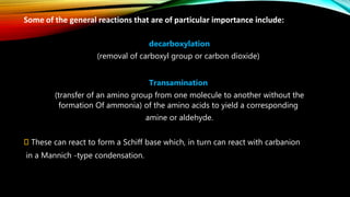 Some of the general reactions that are of particular importance include:
decarboxylation
(removal of carboxyl group or carbon dioxide)
Transamination
(transfer of an amino group from one molecule to another without the
formation Of ammonia) of the amino acids to yield a corresponding
amine or aldehyde.
These can react to form a Schiff base which, in turn can react with carbanion
in a Mannich -type condensation.
 