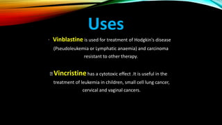 Uses
Vinblastine is used for treatment of Hodgkin's disease
(Pseudoleukemia or Lymphatic anaemia) and carcinoma
resistant to other therapy.
Vincristinehas a cytotoxic effect .It is useful in the
treatment of leukemia in children, small cell lung cancer,
cervical and vaginal cancers.
 