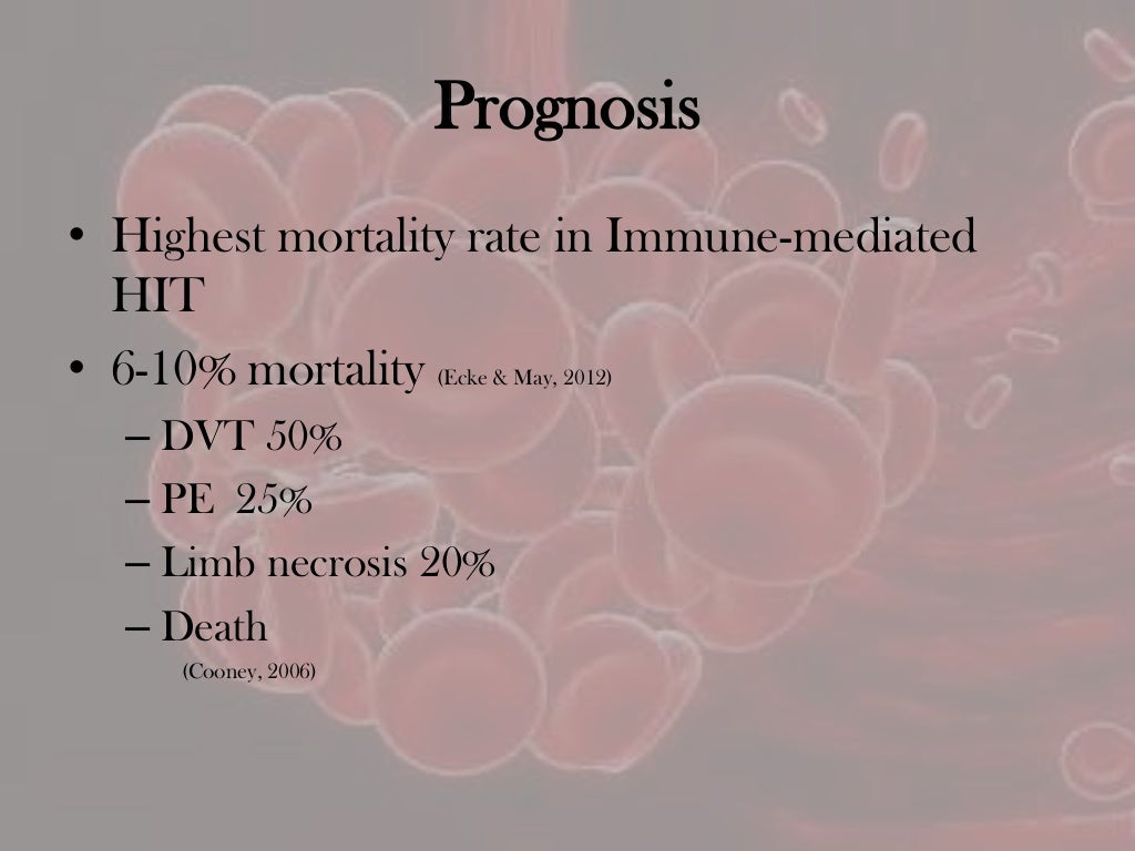 Hit case study 07 image
