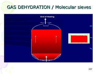 GAS DEHYDRATION / Molecular sieves




                                107
 