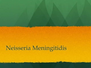 Neisseria Meningitidis
 