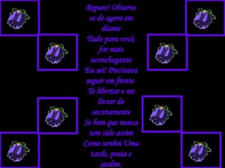 Repare! Observe se de agora em diante Tudo para você, for mais aconchegante Eu sei! Precisava seguir em frente  Te libertar e me livrar do secretamente Se bem que nunca tem sido assim Como sonhei Uma tarde, praia e jardim. 