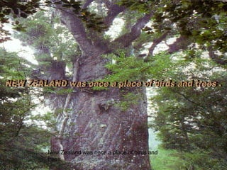 New Zealand was once a place of birds and trees. NEW ZEALAND was once a place of birds and trees . 