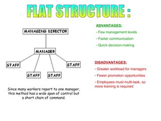 Pricing Strategies & Organisational Structures | PPT