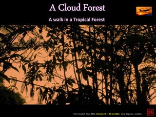 First created 5 Jun 2013. Version 2.0 - 24 Jan 2021. Jerry Daperro. London.
A Cloud Forest
A walk in a Tropical Forest
 