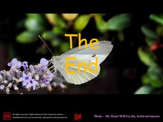 All rights reserved. Rights belong to their respective owners.
Available free for non-commercial, educational and personal use.
The
End
Music – My Heart Will Go On, Artist not known
 