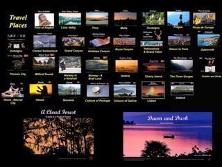 Floral Diary for the Year 5.0