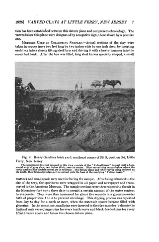 19261 -VARVED CLAYS AT LITTLE FERRY, NEW JERSEY 7
tion has been established between this datum plane and our present chronology. The
varves below this plane were designated by a negative sign, those above by a positive
one.
     METHODS USED IN COLLECTING SAMPLES.-Actual sections of the clay were
taken in copper trays two feet long by two inches wide by one inch deep, by inserting
each tray into a closely fitting steel form and driving it with a heavy hammer into the
smoothed bank. After the box was filled, long steel knives specially shaped, a small




    Fig. 4. Henry Gardiner brick yard, .southeast corner of Pit 3, position (b), Little
Ferry, New Jersey.
     The uppermost five feet exposed in this view consists of the " YellowiLoam " deposit with a hori-
zontal strip of gray clay, two inches thick, near its center. Blue varved clay occurs below where the
tooth marks of the electric shovel are in evidence. The datum plane and other varves being inclined to
the south, their truncated edges are in contact with the base of the overlying " Yellow Loam."       )




mattock and small spade were uised in freeing the sample. After being trimmed to the
size of the tray, the specimens were wrapped in oil paper and newspaper and trans-
p)orted to the American Museum. The sample sections were then exposed to the air in
the laboratory for two to three days to permit a certain amount of the water content
to evaporate. They were then immersed for about five seconds in a glycerine-water
bath of proportions 1 to 5 to prevent shrinkage. This dipping process waas repeated
from day to day for a week or more, when the water-air spaces became filled with
glycerine. In the meantime, small pins were inserted in the clay samples to denote the
limits of each varve, larger pins for every tenth varve and black headed pins for every
fiftieth varve above and below the chosen datum plane.
 