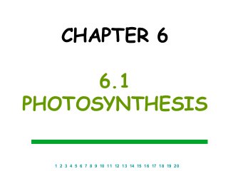 CHAPTER 6

      6.1
PHOTOSYNTHESIS

  1 2 3 4 5 6 7 8 9 10 11 12 13 14 15 16 17 18 19 20
 