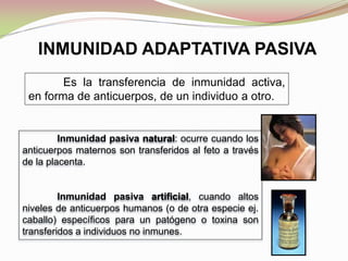 Es la transferencia de inmunidad activa,
en forma de anticuerpos, de un individuo a otro.
INMUNIDAD ADAPTATIVA PASIVA
Inmunidad pasiva natural: ocurre cuando los
anticuerpos maternos son transferidos al feto a través
de la placenta.
Inmunidad pasiva artificial, cuando altos
niveles de anticuerpos humanos (o de otra especie ej.
caballo) específicos para un patógeno o toxina son
transferidos a individuos no inmunes.
 