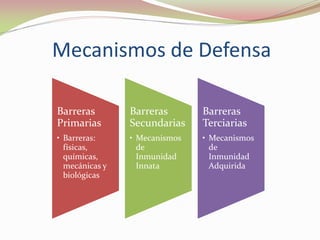 Barreras
Primarias
• Barreras:
físicas,
químicas,
mecánicas y
biológicas
Barreras
Secundarias
• Mecanismos
de
Inmunidad
Innata
Barreras
Terciarias
• Mecanismos
de
Inmunidad
Adquirida
Mecanismos de Defensa
 