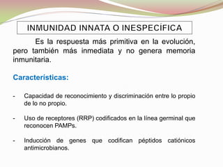 Es la respuesta más primitiva en la evolución,
pero también más inmediata y no genera memoria
inmunitaria.
Características:
- Capacidad de reconocimiento y discriminación entre lo propio
de lo no propio.
- Uso de receptores (RRP) codificados en la línea germinal que
reconocen PAMPs.
- Inducción de genes que codifican péptidos catiónicos
antimicrobianos.
 