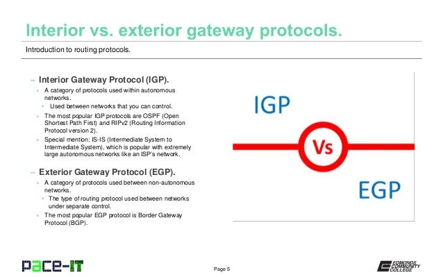 Pace It Introduction To Routing Protocols N10 006