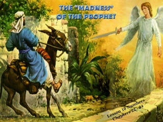 THE “MADNESS” OF THE PROPHET Lesson 10 Numbers  Chapters 22 - 24 