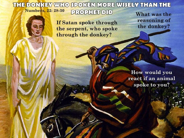 N 10 2 Madness Prophet Questions