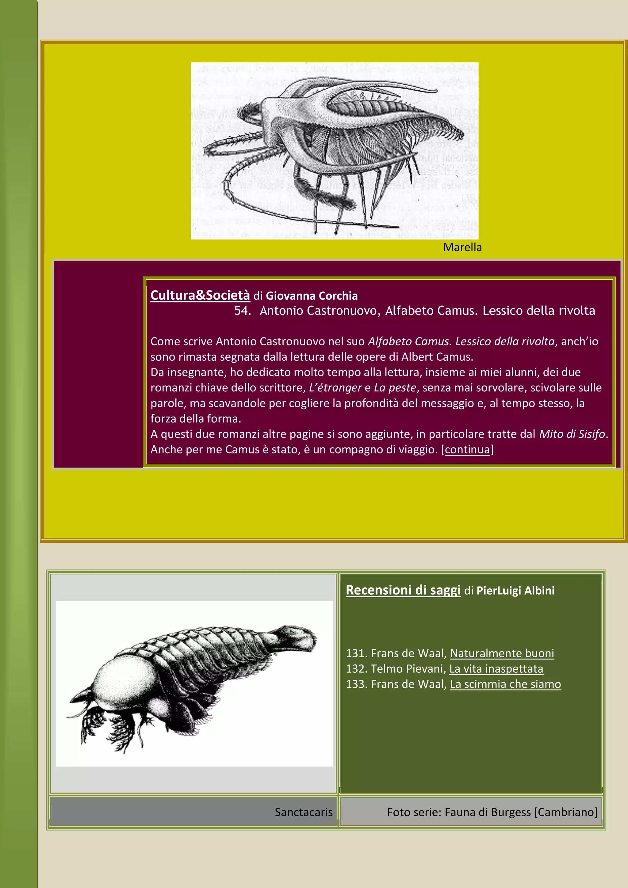 Marella


Cultura&Società di Giovanna Corchia
                 54. Antonio Castronuovo, Alfabeto Camus. Lessico della rivolta

Come scrive Antonio Castronuovo nel suo Alfabeto Camus. Lessico della rivolta, anch’io
sono rimasta segnata dalla lettura delle opere di Albert Camus.
Da insegnante, ho dedicato molto tempo alla lettura, insieme ai miei alunni, dei due
romanzi chiave dello scrittore, L’étranger e La peste, senza mai sorvolare, scivolare sulle
parole, ma scavandole per cogliere la profondità del messaggio e, al tempo stesso, la
forza della forma.
A questi due romanzi altre pagine si sono aggiunte, in particolare tratte dal Mito di Sisifo.
Anche per me Camus è stato, è un compagno di viaggio. [continua]




                                       Recensioni di saggi di PierLuigi Albini



                                       131. Frans de Waal, Naturalmente buoni
                                       132. Telmo Pievani, La vita inaspettata
                                       133. Frans de Waal, La scimmia che siamo




                         Sanctacaris            Foto serie: Fauna di Burgess [Cambriano]
 