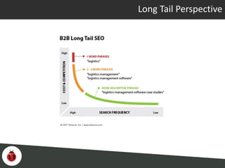 Long Tail Perspective
 