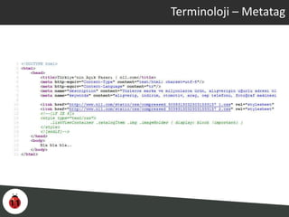 Terminoloji – Metatag
 