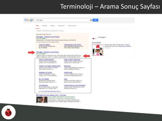 Terminoloji – Arama Sonuç Sayfası
 