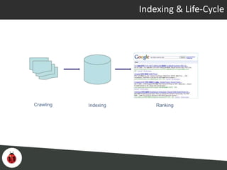 Indexing & Life-Cycle
 