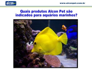 Quais produtos Alcon Pet são  indicados para aquários marinhos? www.alconpet.com.br 