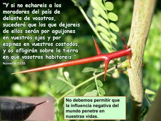 Números 33:55 No debemos permitir que la influencia negativa del mundo penetre en nuestras vidas. 
