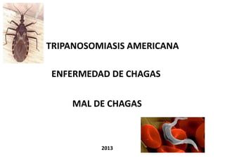 TRIPANOSOMIASIS AMERICANA
ENFERMEDAD DE CHAGAS
MAL DE CHAGAS
2013
 