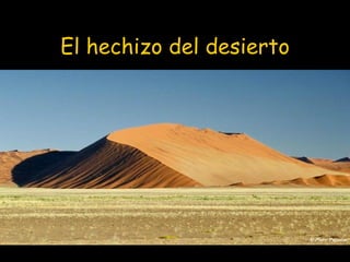 El hechizo del desierto 