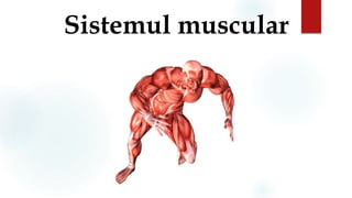 Sistemul muscular
 