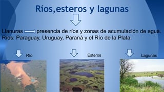 Ríos,esteros y lagunas 
Llanuras presencia de ríos y zonas de acumulación de agua. 
Ríos: Paraguay, Uruguay, Paraná y el Río de la Plata. 
Río Esteros Lagunas 
 