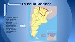 La llanura Chaqueña 
➢ Al Nordeste, desde las 
sierras Subandinas 
hasta el límite este de 
la Argentina. 
➢ Clima cálido húmedo. 
➢ Las precipitaciones 
disminuyen de este a 
oeste por eso los 
bosques presentan 
mayor cantidad de 
especies. 
 